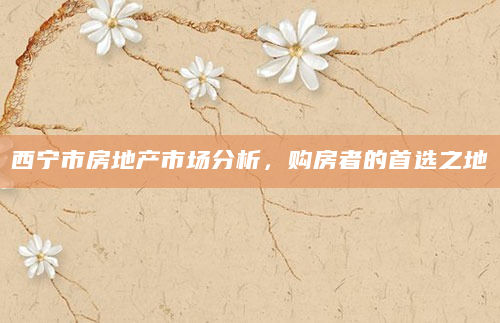 西宁市房地产市场分析，购房者的首选之地