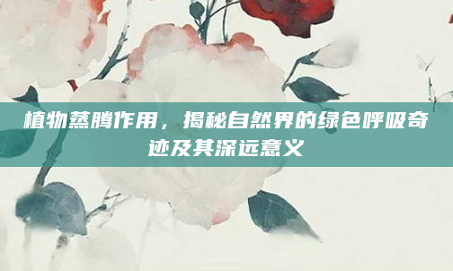 植物蒸腾作用，揭秘自然界的绿色呼吸奇迹及其深远意义
