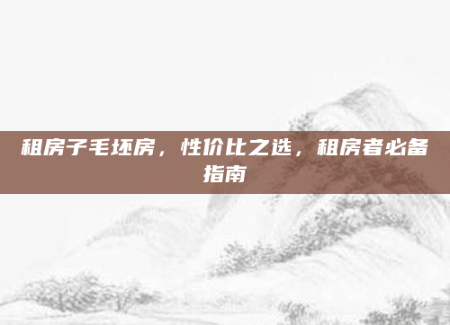 租房子毛坯房，性价比之选，租房者必备指南