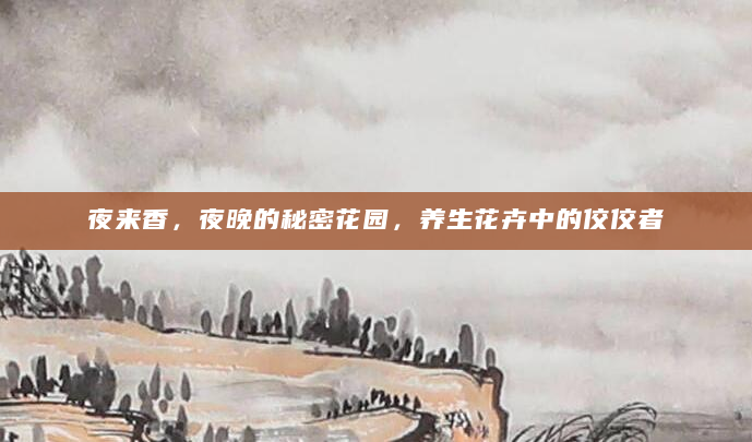 夜来香，夜晚的秘密花园，养生花卉中的佼佼者