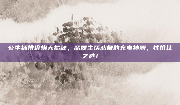 公牛插排价格大揭秘，品质生活必备的充电神器，性价比之选！