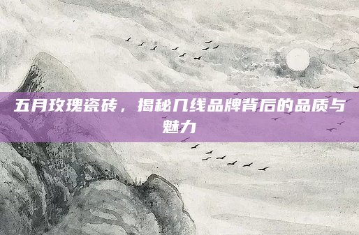 五月玫瑰瓷砖，揭秘几线品牌背后的品质与魅力