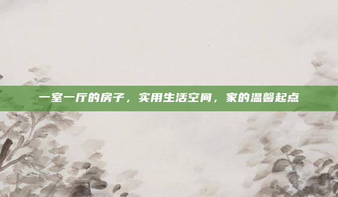 一室一厅的房子，实用生活空间，家的温馨起点