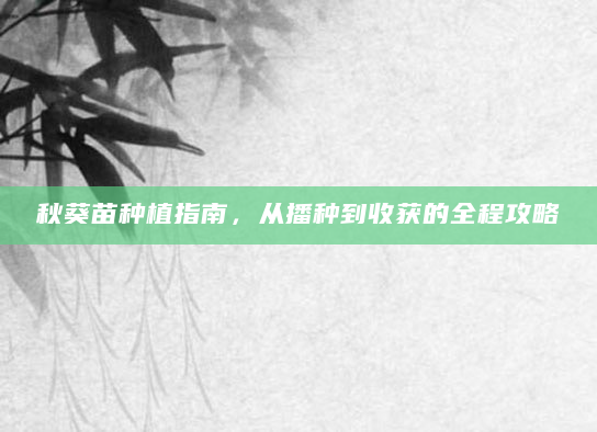 秋葵苗种植指南，从播种到收获的全程攻略