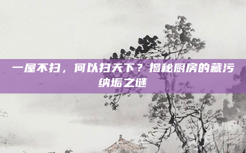 一屋不扫，何以扫天下？揭秘厨房的藏污纳垢之谜