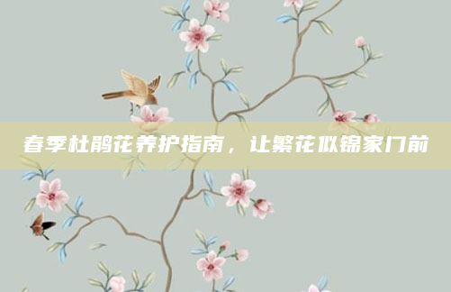 春季杜鹃花养护指南，让繁花似锦家门前