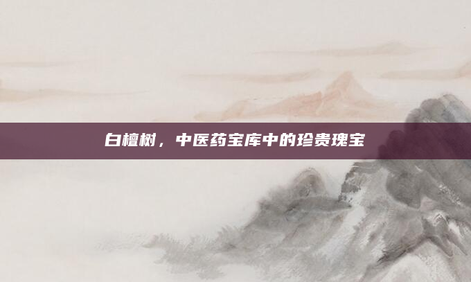 白檀树，中医药宝库中的珍贵瑰宝