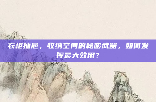 衣柜抽屉，收纳空间的秘密武器，如何发挥最大效用？
