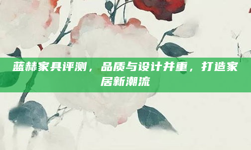 蓝赫家具评测，品质与设计并重，打造家居新潮流