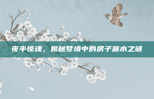 夜半惊魂，揭秘梦境中的房子漏水之谜