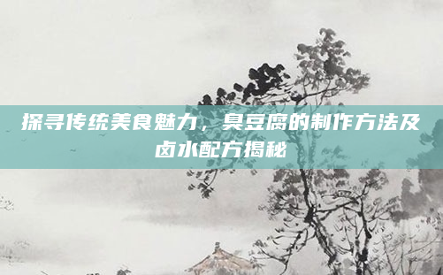 探寻传统美食魅力，臭豆腐的制作方法及卤水配方揭秘