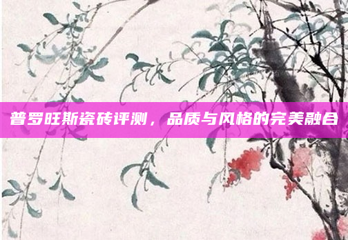 普罗旺斯瓷砖评测，品质与风格的完美融合