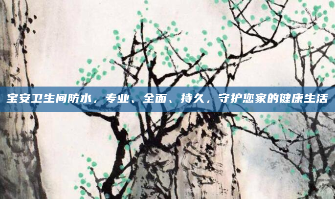 宝安卫生间防水，专业、全面、持久，守护您家的健康生活