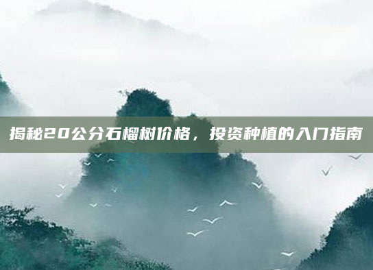 揭秘20公分石榴树价格，投资种植的入门指南