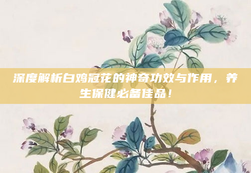深度解析白鸡冠花的神奇功效与作用，养生保健必备佳品！