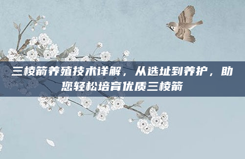 三棱箭养殖技术详解，从选址到养护，助您轻松培育优质三棱箭