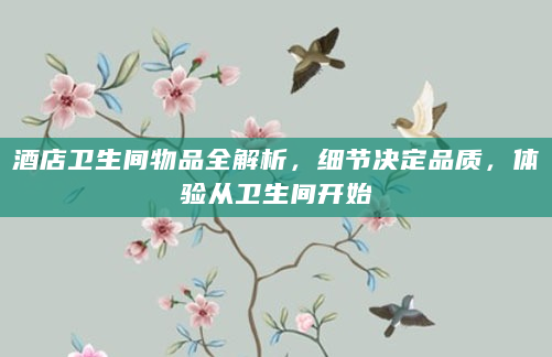 酒店卫生间物品全解析，细节决定品质，体验从卫生间开始