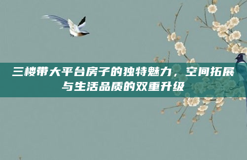 三楼带大平台房子的独特魅力，空间拓展与生活品质的双重升级