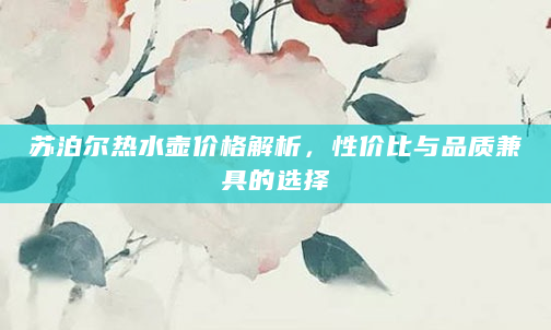 苏泊尔热水壶价格解析，性价比与品质兼具的选择