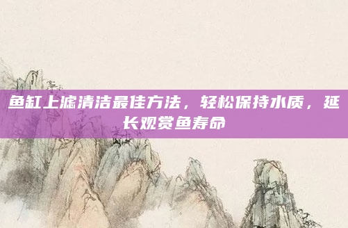 鱼缸上滤清洁最佳方法，轻松保持水质，延长观赏鱼寿命