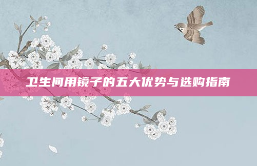 卫生间用镜子的五大优势与选购指南