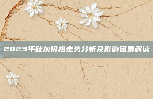 2023年硅灰价格走势分析及影响因素解读