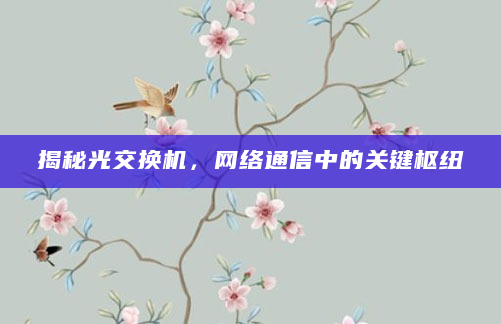 揭秘光交换机，网络通信中的关键枢纽