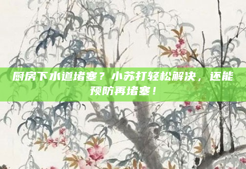 厨房下水道堵塞？小苏打轻松解决，还能预防再堵塞！