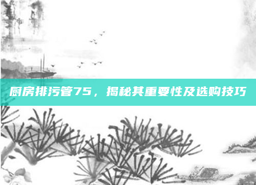 厨房排污管75，揭秘其重要性及选购技巧