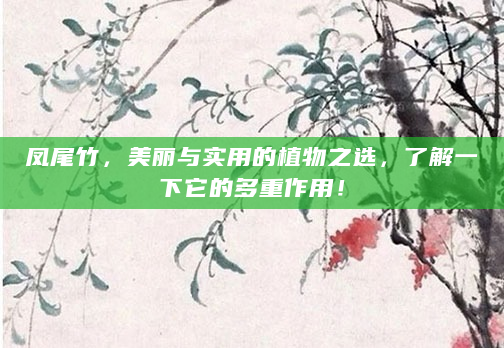 凤尾竹，美丽与实用的植物之选，了解一下它的多重作用！