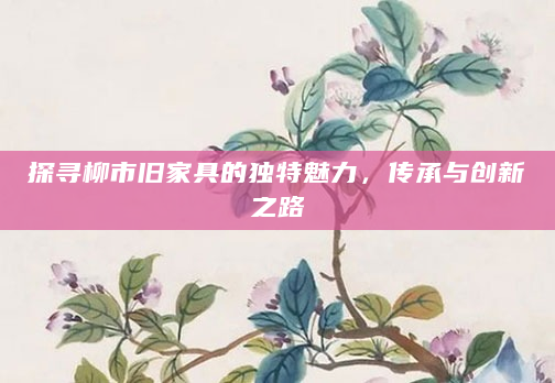 探寻柳市旧家具的独特魅力，传承与创新之路
