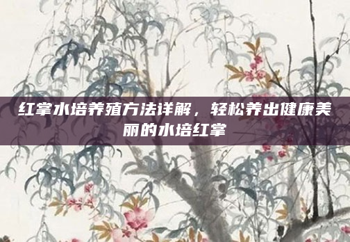 红掌水培养殖方法详解，轻松养出健康美丽的水培红掌