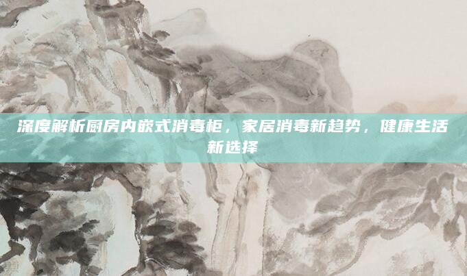 深度解析厨房内嵌式消毒柜，家居消毒新趋势，健康生活新选择