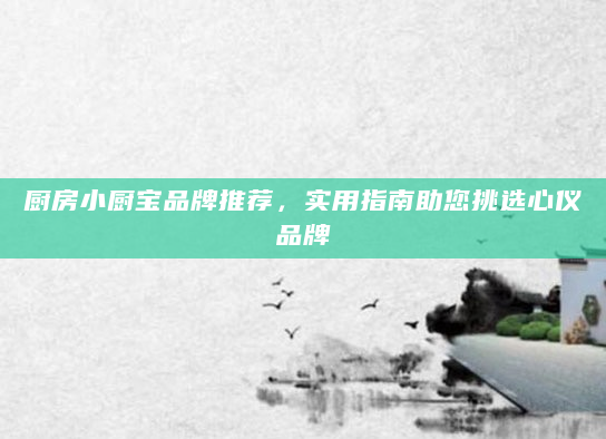 厨房小厨宝品牌推荐，实用指南助您挑选心仪品牌