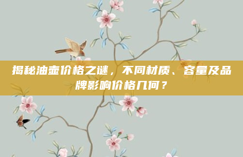 揭秘油壶价格之谜，不同材质、容量及品牌影响价格几何？
