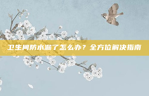 卫生间防水漏了怎么办？全方位解决指南