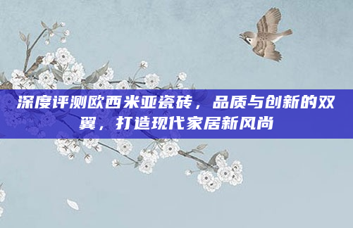 深度评测欧西米亚瓷砖，品质与创新的双翼，打造现代家居新风尚