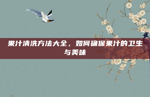 果汁清洗方法大全，如何确保果汁的卫生与美味