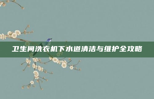 卫生间洗衣机下水道清洁与维护全攻略