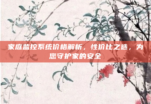 家庭监控系统价格解析，性价比之选，为您守护家的安全