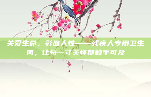 关爱生命，彰显人性——残疾人专用卫生间，让每一寸关怀都触手可及