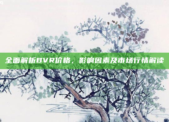 全面解析BVR价格，影响因素及市场行情解读