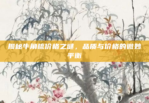 揭秘牛角梳价格之谜，品质与价格的微妙平衡