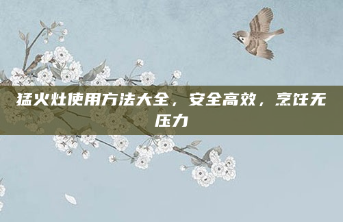 猛火灶使用方法大全，安全高效，烹饪无压力