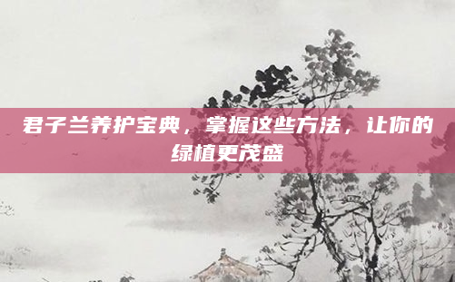 君子兰养护宝典，掌握这些方法，让你的绿植更茂盛