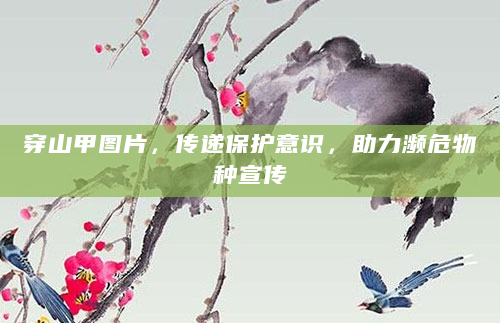 穿山甲图片，传递保护意识，助力濒危物种宣传