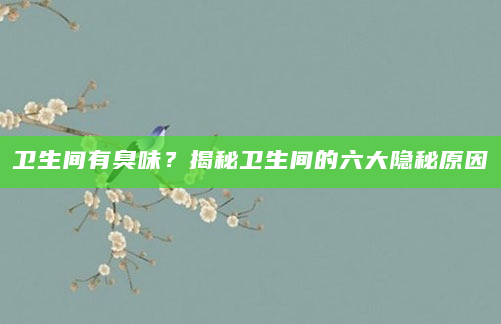 卫生间有臭味？揭秘卫生间的六大隐秘原因