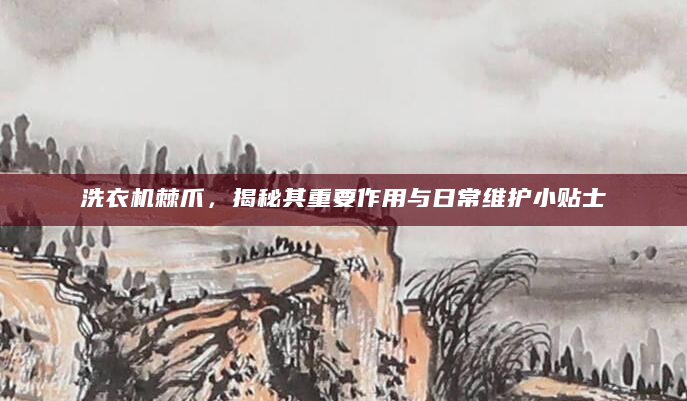 洗衣机棘爪，揭秘其重要作用与日常维护小贴士