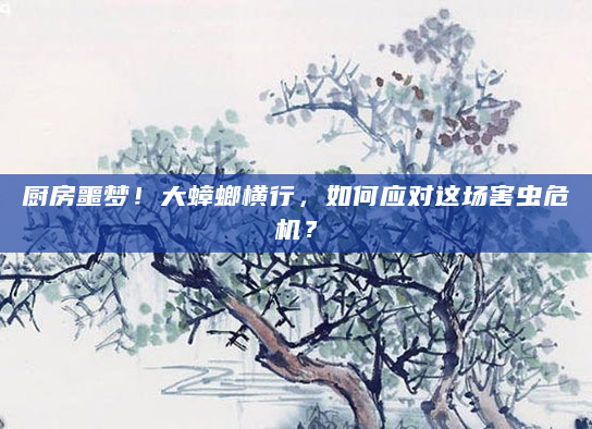 厨房噩梦！大蟑螂横行，如何应对这场害虫危机？