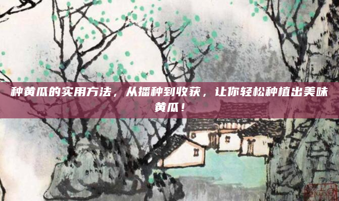 种黄瓜的实用方法，从播种到收获，让你轻松种植出美味黄瓜！
